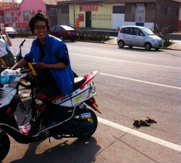 Phẫn nộ trước trò tiêu khiển động vật của nam thanh niên Phẫn nộ trước trò tiêu khiển động vật của nam thanh niên