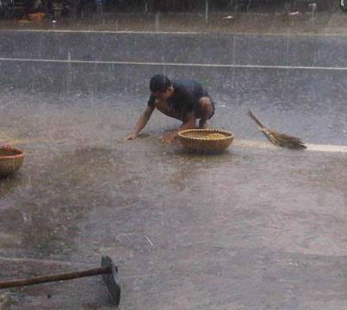  Bức hình “Nông dân đội mưa thu thóc” gây sốt cộng đồng mạng