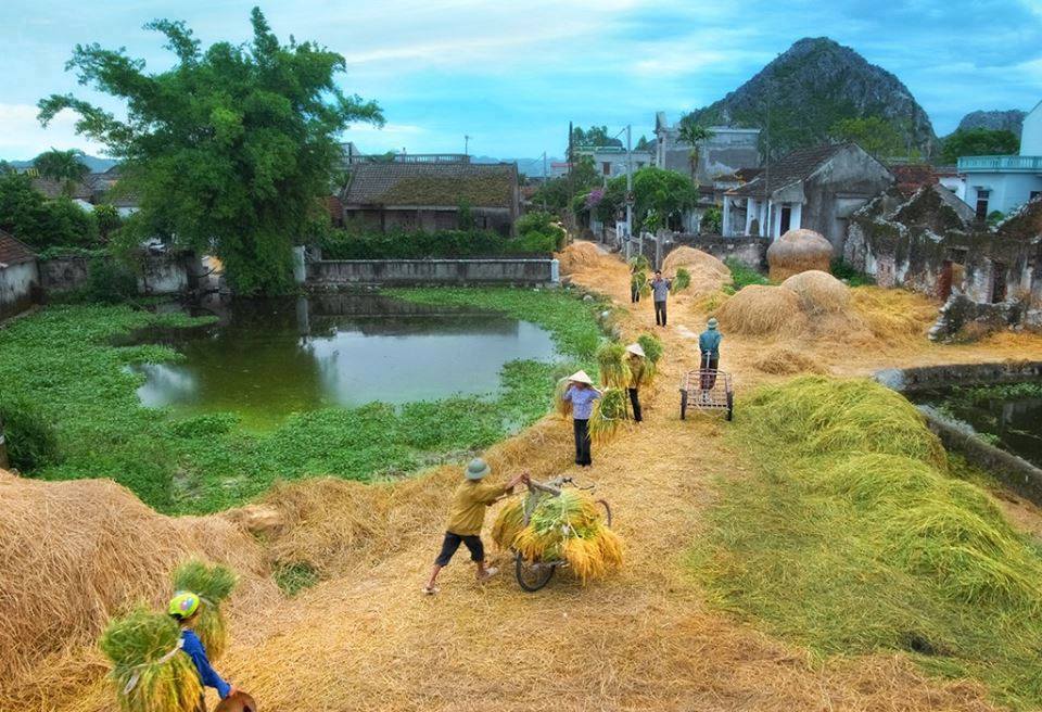 Image hình ảnh Thanh Bình - Nhớ nhà với bức hình “Quê hương thật thanh bình”