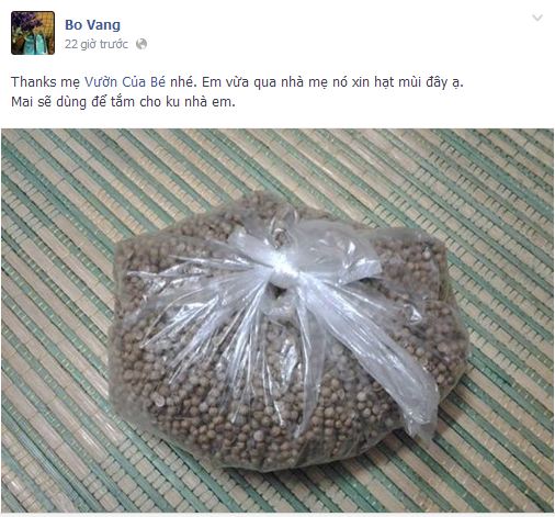 Cô tiên phát “hạt mùi già miễn phí cho các bé chữa bệnh sởi”