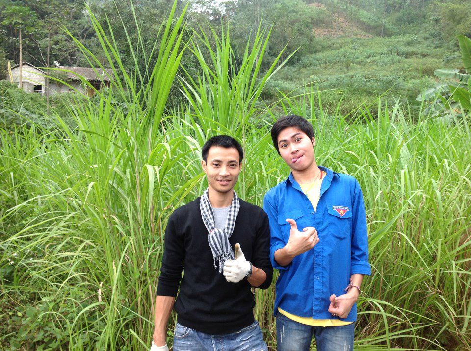 Chàng điển trai - thích màu hồng yêu áo xanh tình nguyện