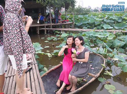 Để có một tấm hình đẹp với Hồ sen