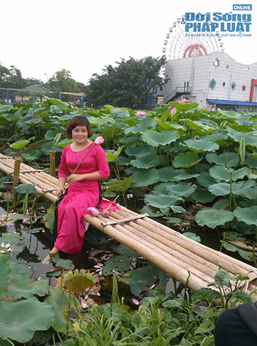 Để có một tấm hình đẹp với Hồ sen