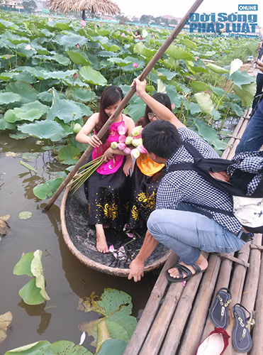 Để có một tấm hình đẹp với Hồ sen