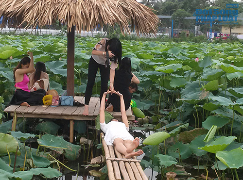 Tư thế chụp ảnh “khó đỡ” ở đầm sen Tây Hồ