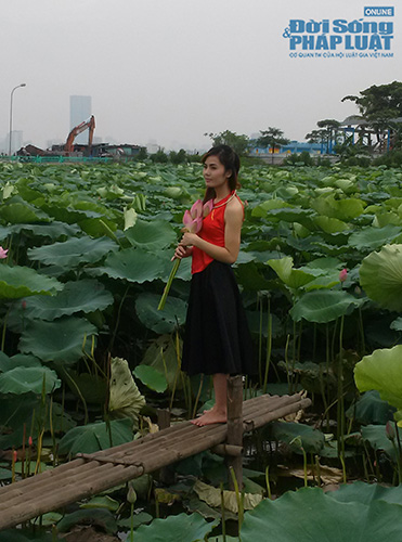 Để có một tấm hình đẹp với Hồ sen