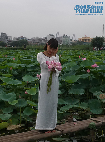 Để có một tấm hình đẹp với Hồ sen