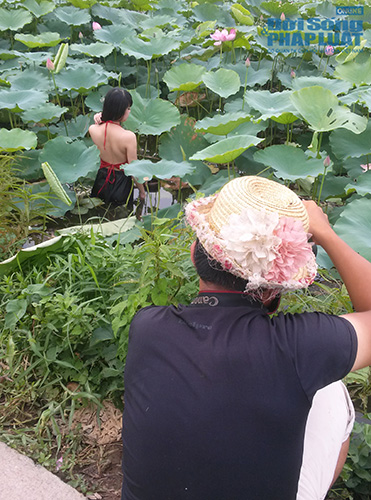 Tư thế chụp ảnh “khó đỡ” ở đầm sen Tây Hồ