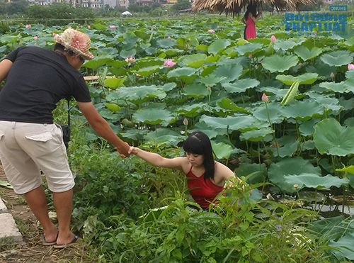 Tư thế chụp ảnh “khó đỡ” ở đầm sen Tây Hồ