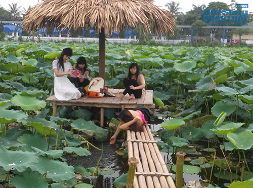 Tư thế chụp ảnh “khó đỡ” ở đầm sen Tây Hồ