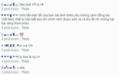 Bản đồ Việt xếp bằng hạt thóc gây sốt
