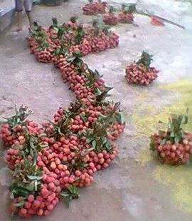 Xuất hiện nhiều phiên bản Bản đồ Việt độc và lạ Xuất hiện nhiều phiên bản Bản đồ Việt độc và lạ