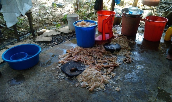 Dân mạng sốc khi thấy cảnh chế biến Nem chua Thanh Hóa