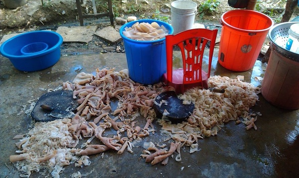 Dân mạng sốc khi thấy cảnh chế biến Nem chua Thanh Hóa