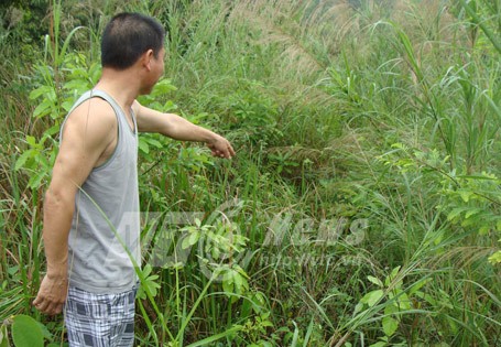 Cả làng tranh cướp kho báu trong lăng mộ vua Trần