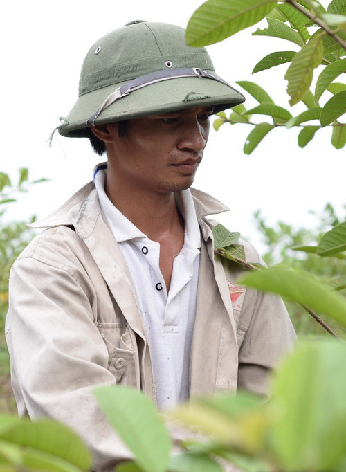 Lệ Rơi và Đắng lòng trở thành hiện tượng hot trên mạng