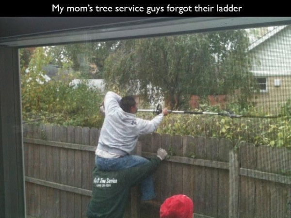 Những “ý tưởng” kỳ cục chỉ có ở con người