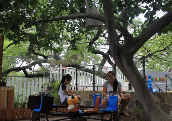 Người Sài Gòn uống cà phê… trên cây cổ thụ