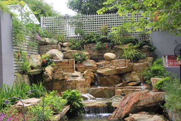 Người Sài Gòn uống cà phê… trên cây cổ thụ