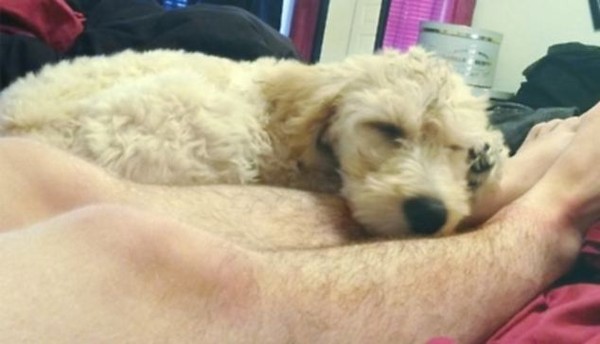 Các cô nàng đua nhau khoe ảnh lông chân rậm rạp Các cô nàng đua nhau khoe ảnh lông chân rậm rạp