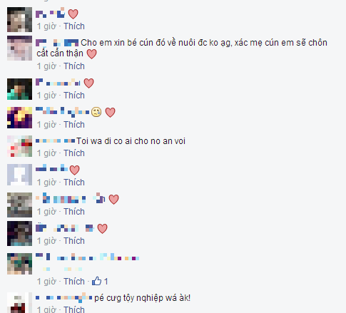 Xúc động cún con không dời mẹ đã mất nửa bước trong vài ngày liền