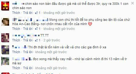 Cảm động cha mang chim rừng làm lộ phí đưa con đi thi Cảm động cha mang chim rừng làm lộ phí đưa con đi thi
