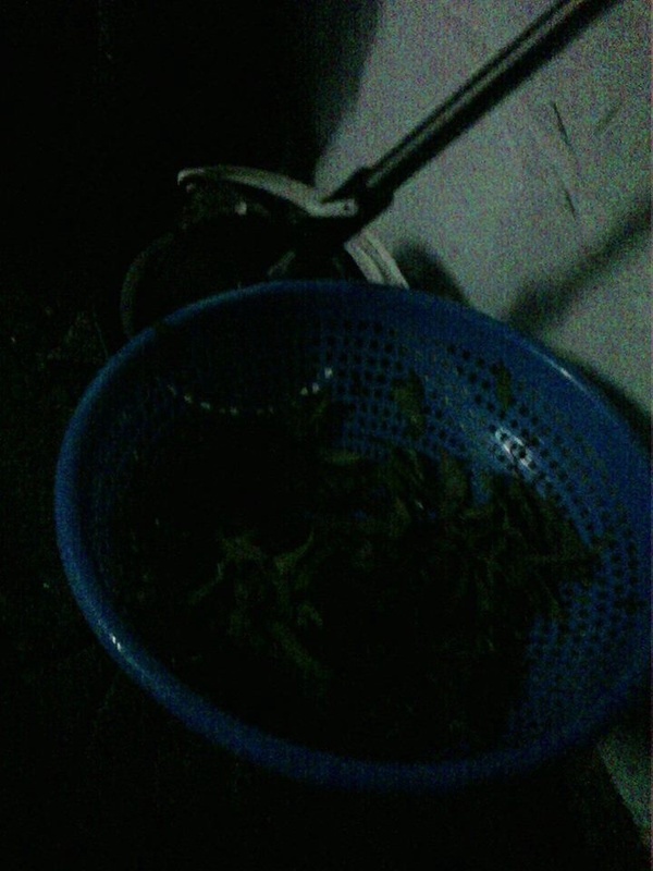 Hàng bánh tráng đựng trứng vào xô lau nhà gây sốc Hàng bánh tráng đựng trứng vào xô lau nhà gây sốc