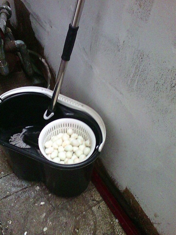 Hàng bánh tráng đựng trứng vào xô lau nhà gây sốc Hàng bánh tráng đựng trứng vào xô lau nhà gây sốc