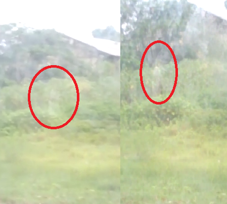 Clip: Bóng ma xuất hiện qua tấm kính gây xôn xao