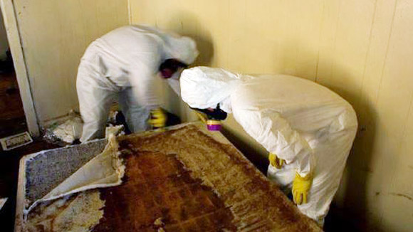 Nghề “ngửi mùi chết chóc”