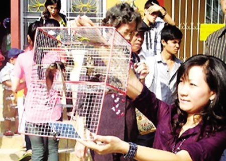 Cách cúng, văn khấn lễ phóng sinh dịp rằm tháng Bảy Cách cúng, văn khấn lễ phóng sinh dịp rằm tháng Bảy