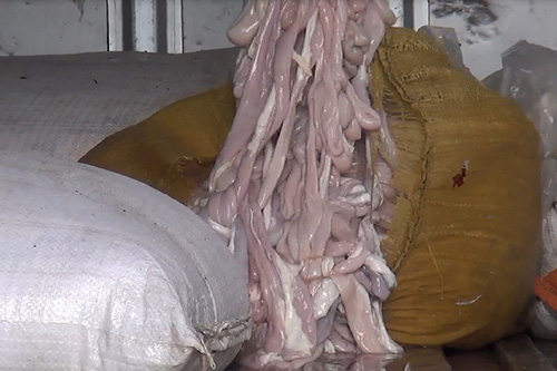 Hà Nội: Bắt giữ, tiêu hủy hơn 400kg nội tạng thối 