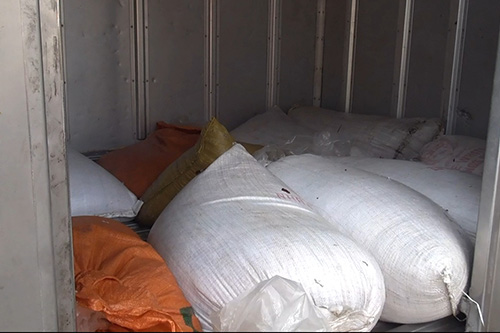 Hà Nội: Bắt giữ, tiêu hủy hơn 400kg nội tạng thối 