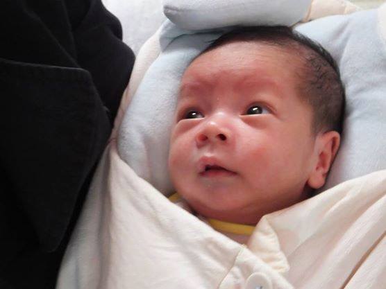 Vụ chùa Bồ Đề: Phê chuẩn khởi tố, tạm giam 4 tháng hai bảo mẫu