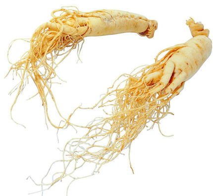 “xuân dược” gối đầu giường giúp Quý phi già mê hoặc quân vương “xuân dược” gối đầu giường giúp Quý phi già mê hoặc quân vương