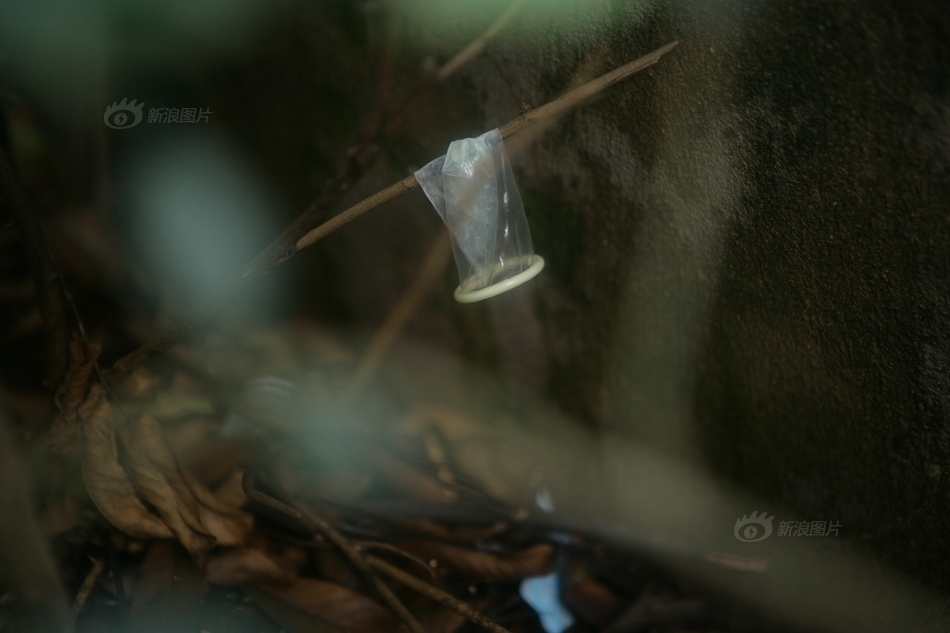 Mở dịch vụ “ân ái”ngay tại công viên