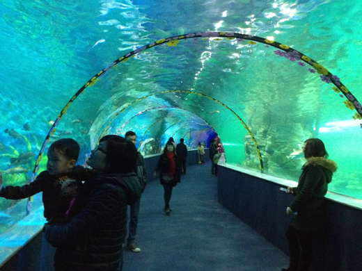 Những địa điểm chụp ảnh lý tưởng cho ngày 2/9 ở Hà Nội