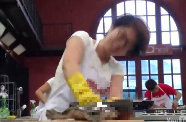 Tranh cãi hình ảnh quay cận cảnh làm thịt ba ba trên truyền hình 