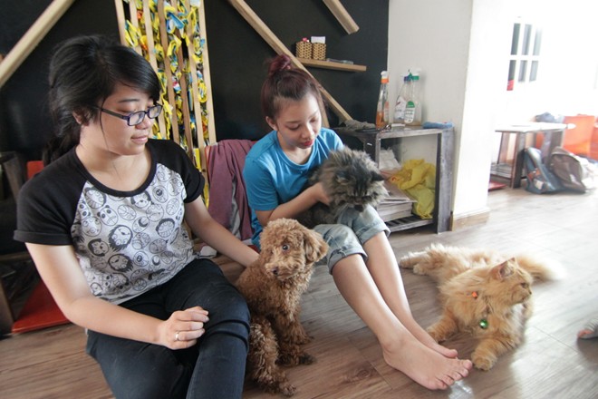 Những loài động vật giúp 9X kiếm hàng trăm triệu đồng mỗi năm Những loài động vật giúp 9X kiếm hàng trăm triệu đồng mỗi năm