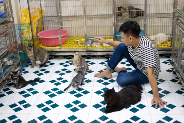 Những loài động vật giúp 9X kiếm hàng trăm triệu đồng mỗi năm Những loài động vật giúp 9X kiếm hàng trăm triệu đồng mỗi năm