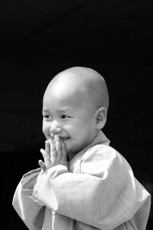 Những em bé trong trang phục nhà sư “đốn tim” dân mạng