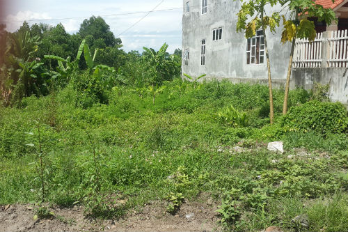 Nghi án quan xã “nhận” đất để chuyển đổi mục đích sử dụng cho dân Nghi án quan xã “nhận” đất để chuyển đổi mục đích sử dụng cho dân