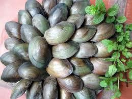 9 thực phẩm tốt nhất cho làn da của bạn