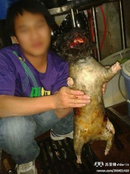 Phẫn nộ chàng trai đăng ảnh khoe Phẫn nộ chàng trai đăng ảnh khoe