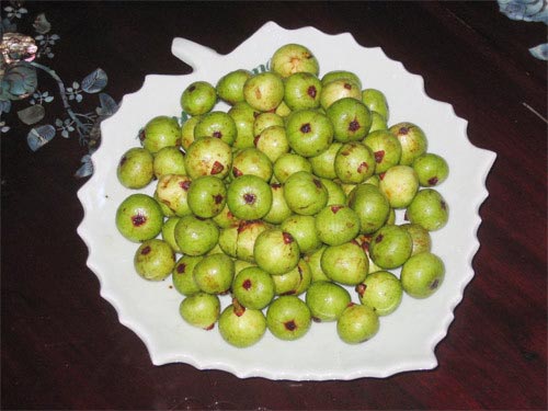 Những thực phẩm tốt mà phụ nữ nên ăn sau khi sinh Những thực phẩm tốt mà phụ nữ nên ăn sau khi sinh