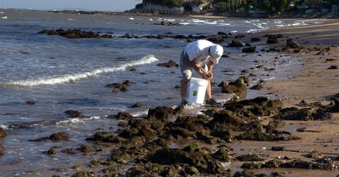 Tìm thấy 4 nữ sinh bị chết đuối khi đi bắt hàu Tìm thấy 4 nữ sinh bị chết đuối khi đi bắt hàu