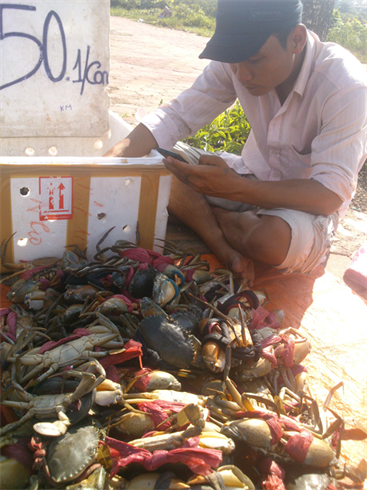 Sự thật “cua lạ bán vỉa hè, nghi của Trung Quốc”