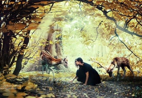 Mưa sao băng: Sự tích và điêu ước thần kỳ Mưa sao băng: Sự tích và điêu ước thần kỳ