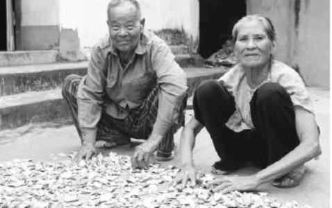 Bà lang xứ Lạng với 4 kho thuốc cứu cả trăm người Bà lang xứ Lạng với 4 kho thuốc cứu cả trăm người