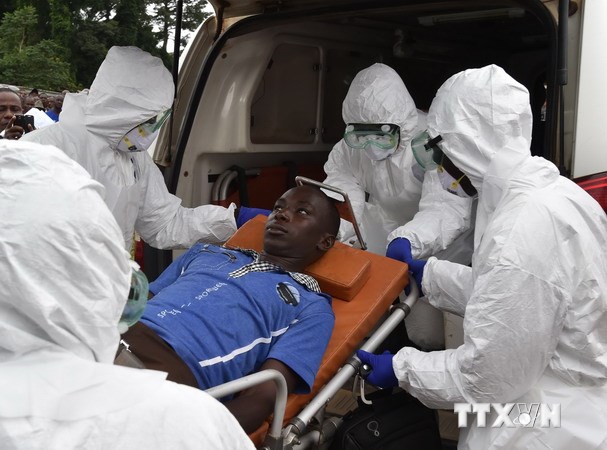 84 người tử vong vì dịch bệnh Ebola chỉ trong vòng ba ngày 84 người tử vong vì dịch bệnh Ebola chỉ trong vòng ba ngày